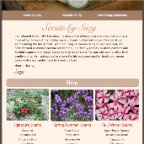 scentsbysuzy